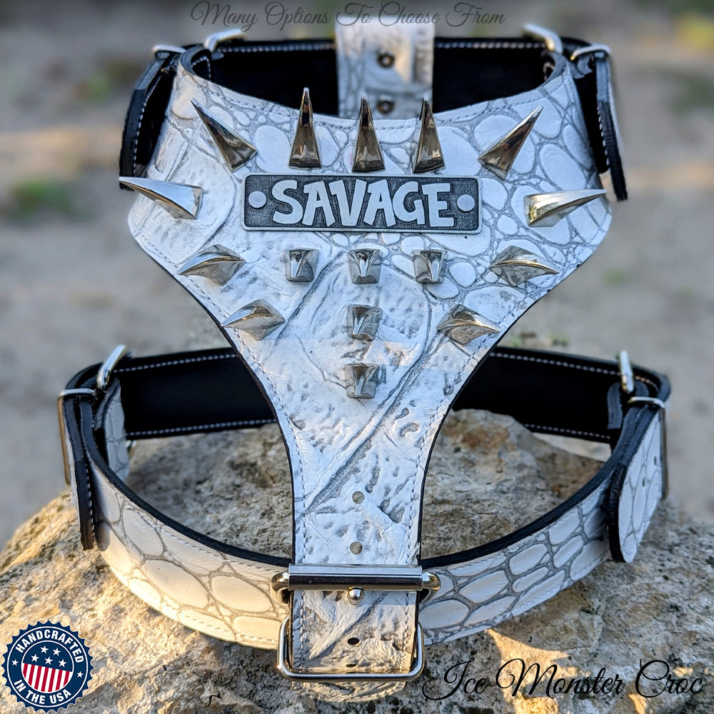 NH7 - ARNÉS CON PINCHOS PERSONALIZADO