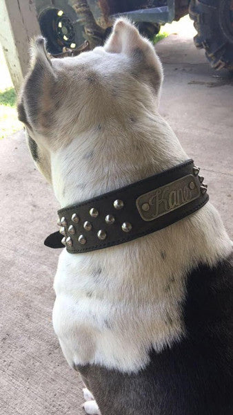 N5 - 2" Wide Tapered Personalized Leather Dog Collar with Studs